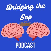 Chioma Agwuegbo: cover art for Bridging The Gap