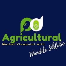 Wandile Sihlobo: cover art for their own show